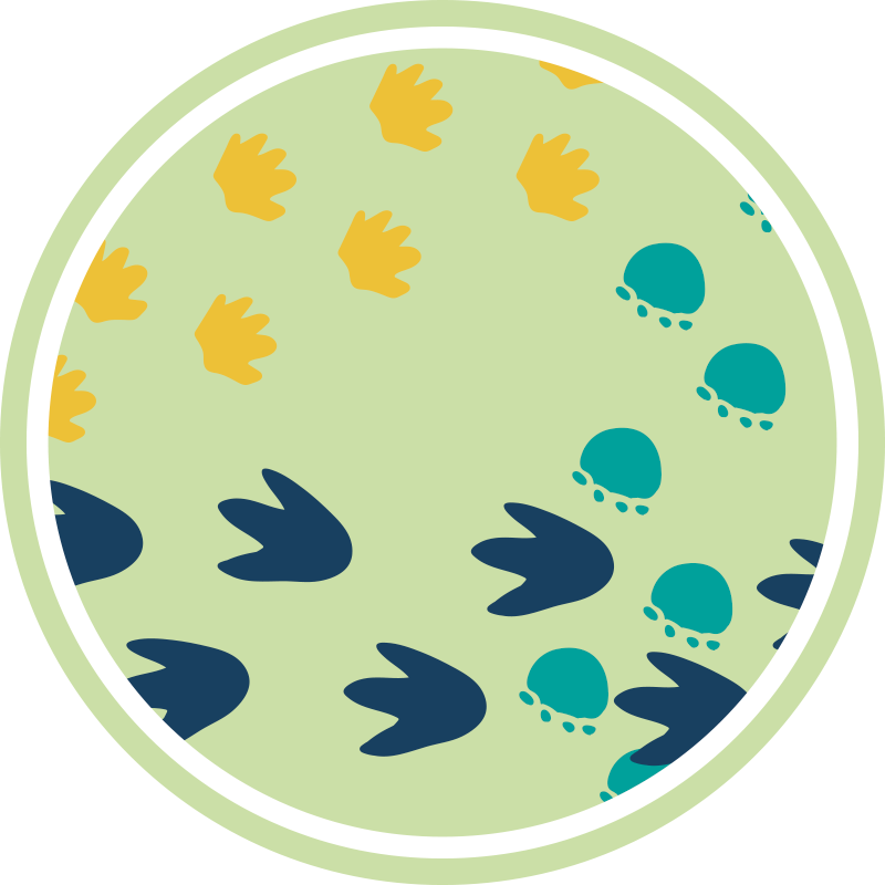 Dinosaur footprints design kids vinyl carpet - TenStickers