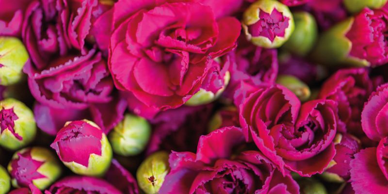 Lively Flower Blossoms floral vinyl carpet - TenStickers