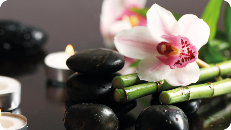 Orchid Serenity nature vinyl carpet - TenStickers