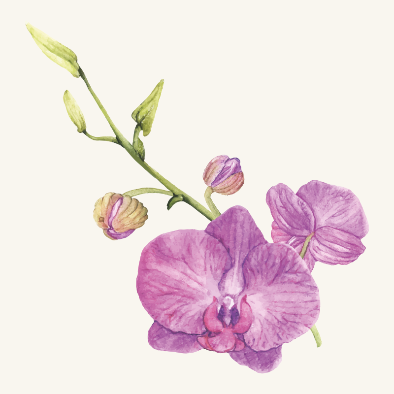 Purple Orchid Blooms floral vinyl carpet - TenStickers