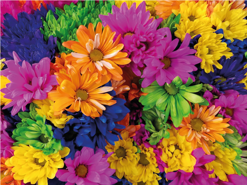 Vibrant Flower Arrangement floral vinyl carpet - TenStickers