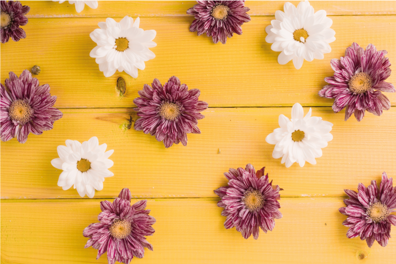 Pink and white petals floral vinyl carpet - TenStickers