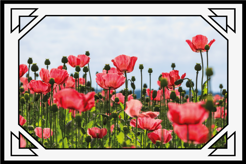 Colorful poppy field floral vinyl carpet - TenStickers