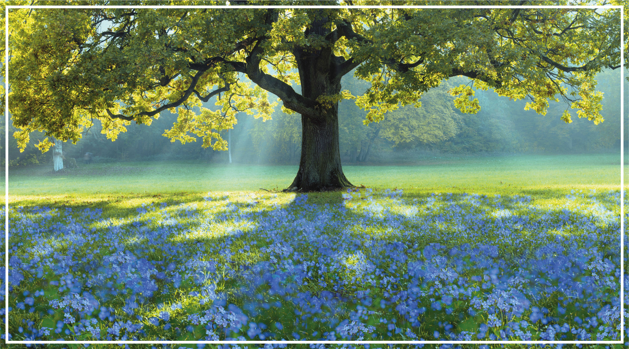 Blooming Tree Scene nature vinyl carpet - TenStickers