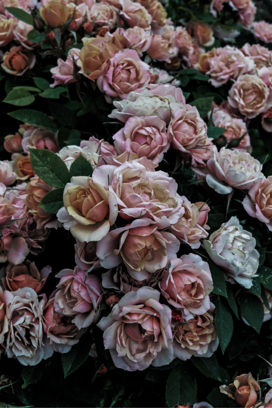 Graceful Bloom Arrangement floral vinyl carpet - TenStickers