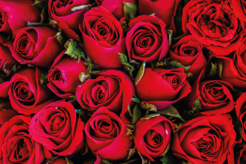 Rose bouquet floral vinyl carpet - TenStickers