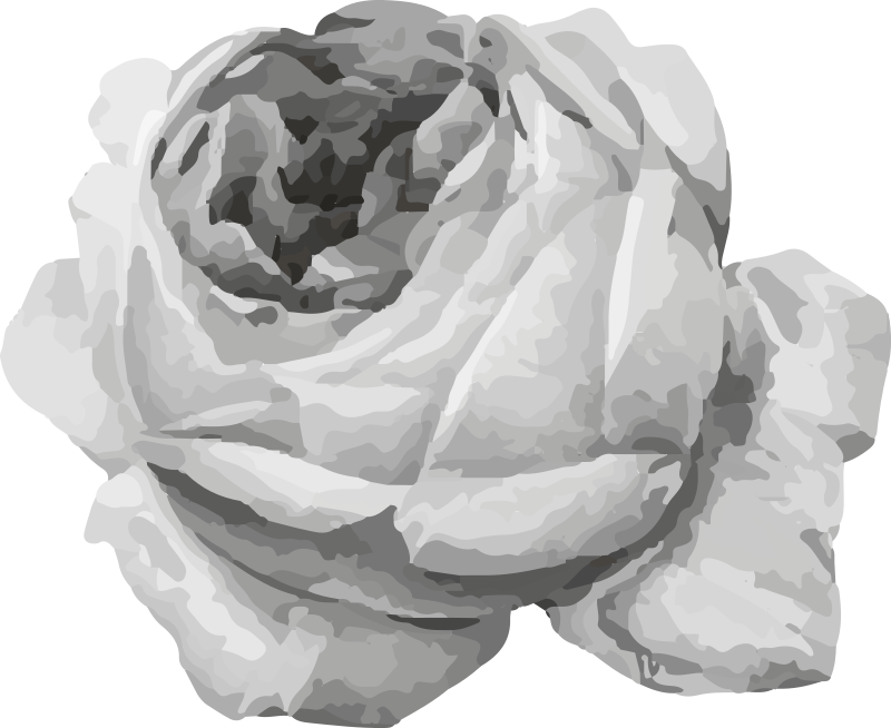 Rose Blossom floral vinyl carpet - TenStickers