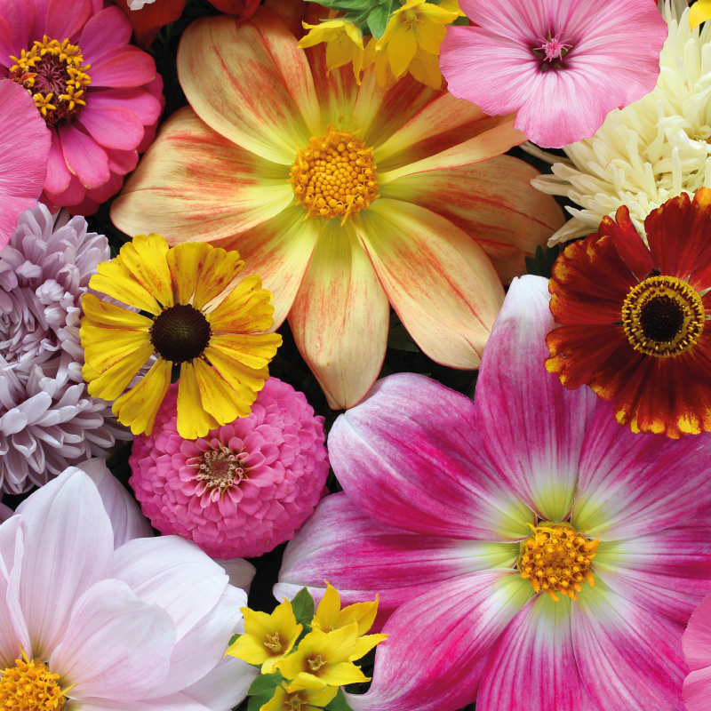 Beautiful realistic arrangement floral vinyl carpet - TenStickers