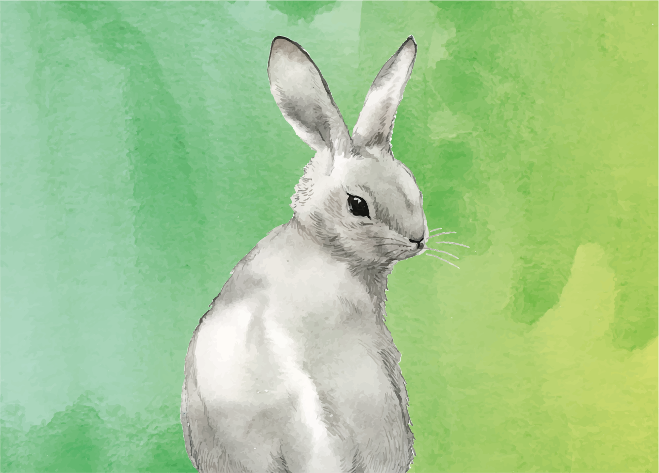 Rabbit green background animal vinyl carpet - TenStickers