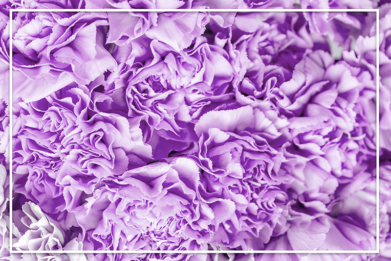 Vibrant Purple Blooms floral vinyl carpet - TenStickers