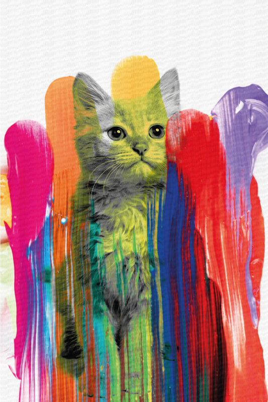 Colorful Cat Portrait modern vinyl carpet - TenStickers