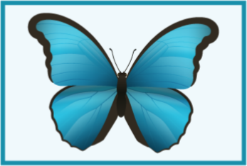 Blue butterfly animal vinyl carpet - TenStickers