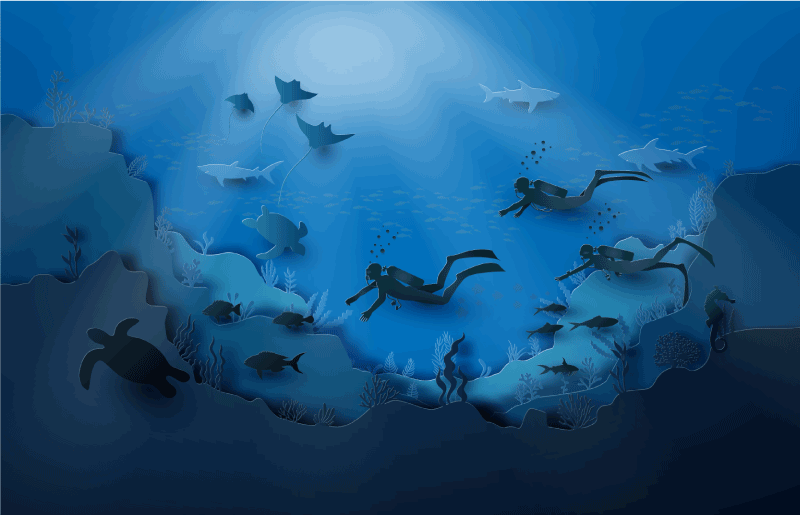 Underwater Exploration nature vinyl carpet - TenStickers