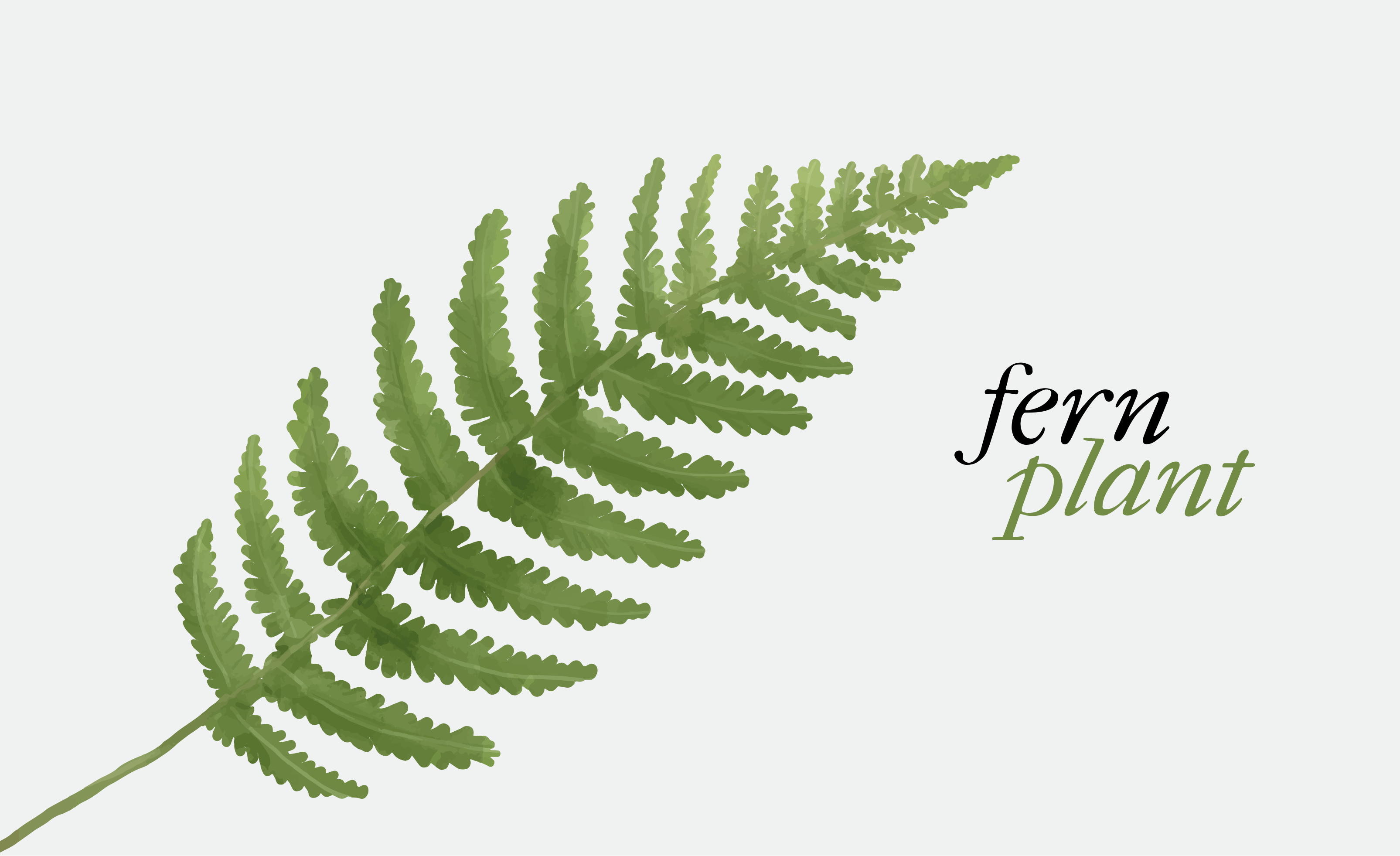 Fern plant design floral vinyl carpet - TenStickers