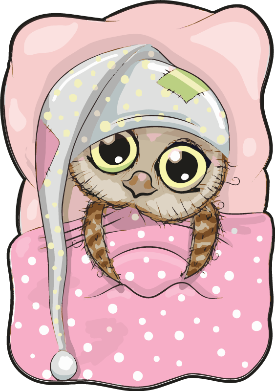 Cute Sleeping Owl kids vinyl carpet - TenStickers