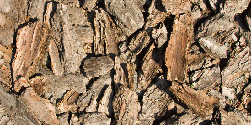 Natural bark design wood effect vinyl carpet - TenStickers