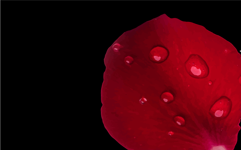 Red Petal Glamour living room vinyl carpet - TenStickers