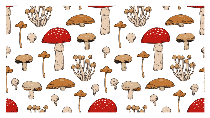 Mushroom Dreamscape nature vinyl carpet - TenStickers