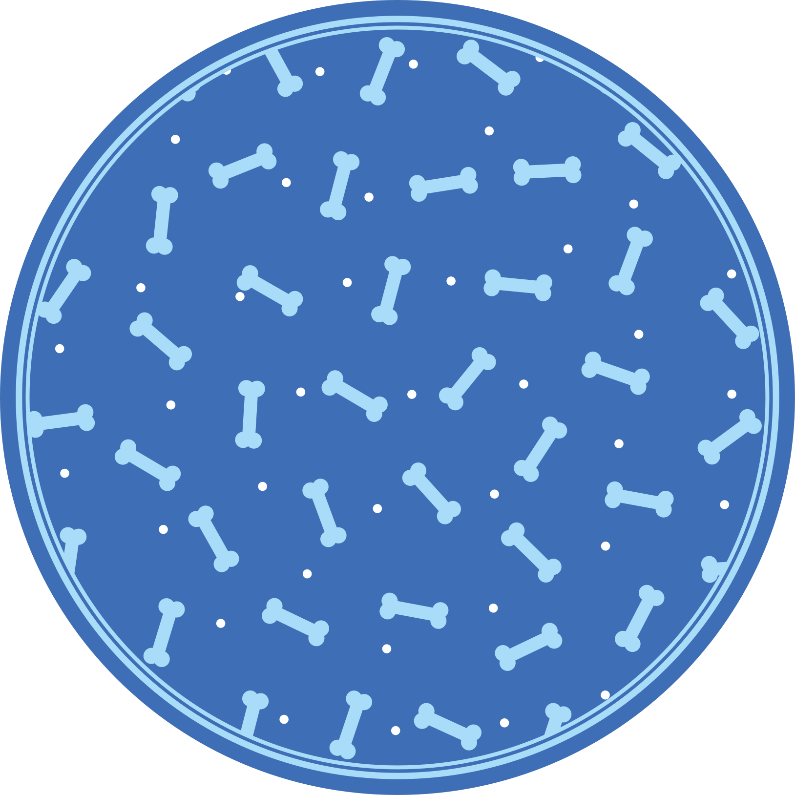 Bone Pattern Play circular vinyl carpet - TenStickers