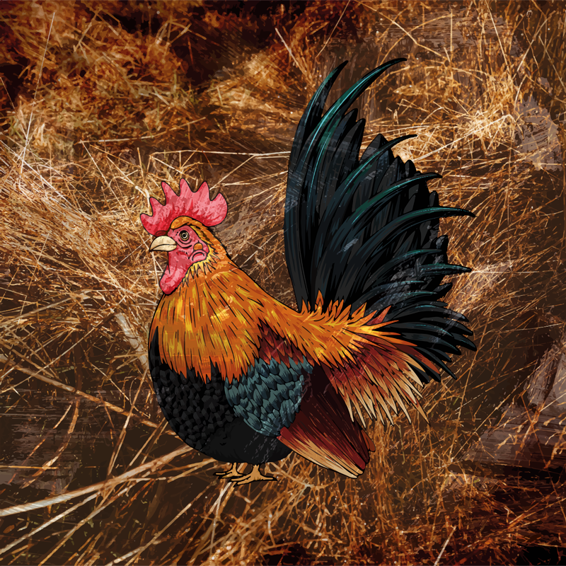 Vibrant rooster design animal print vinyl carpet - TenStickers