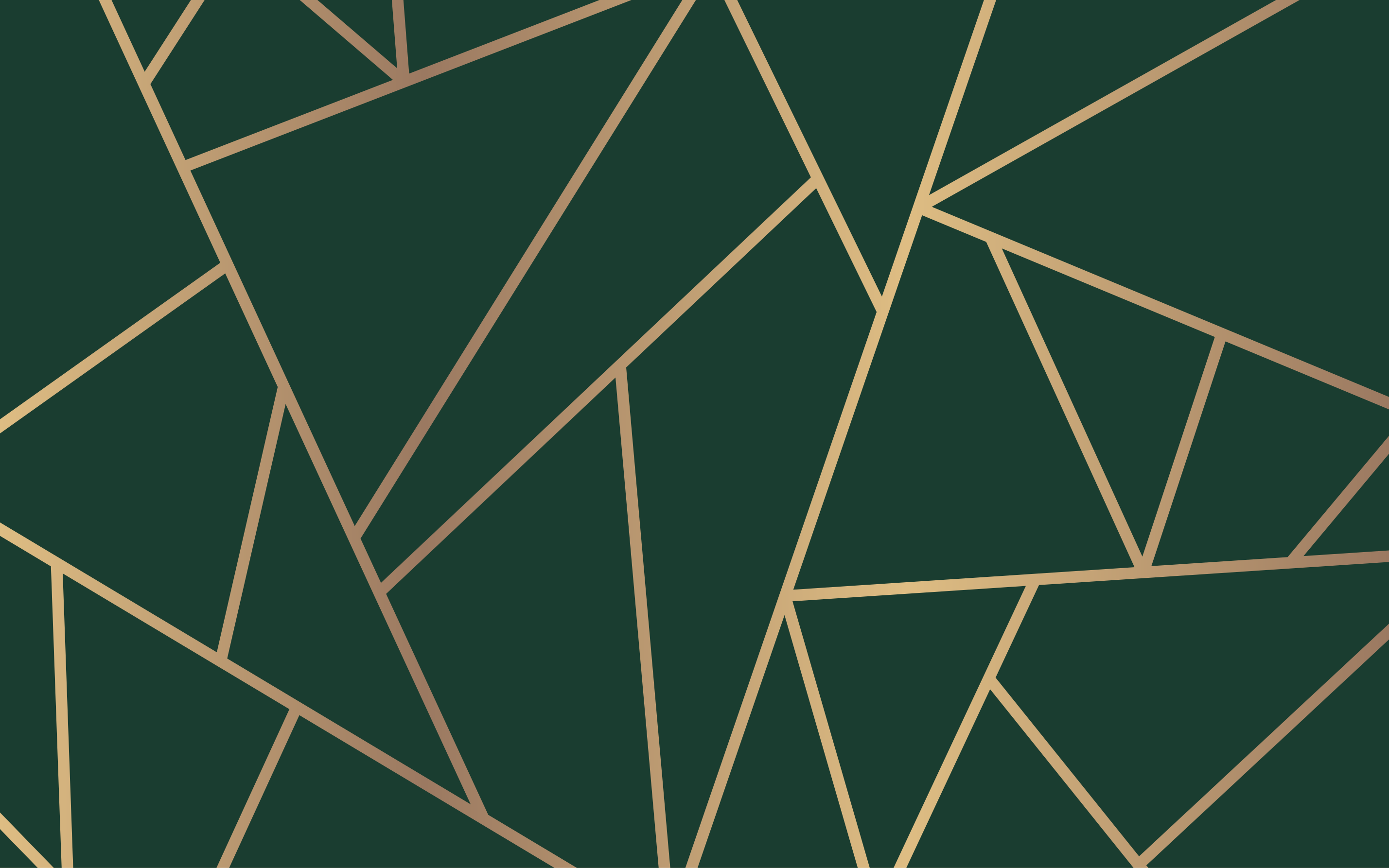 Green elegant lines geometric vinyl carpet - TenStickers