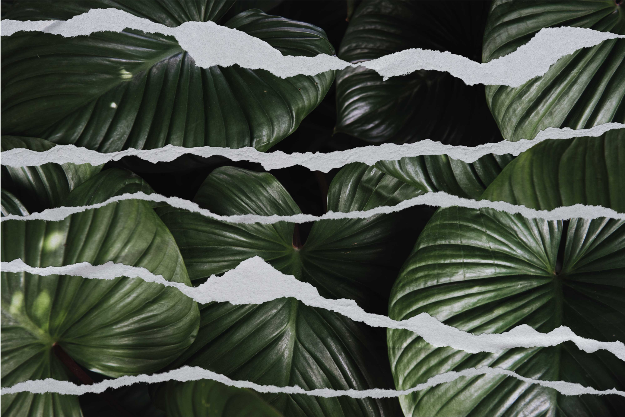 Torn Leaf Pattern nature vinyl carpet - TenStickers