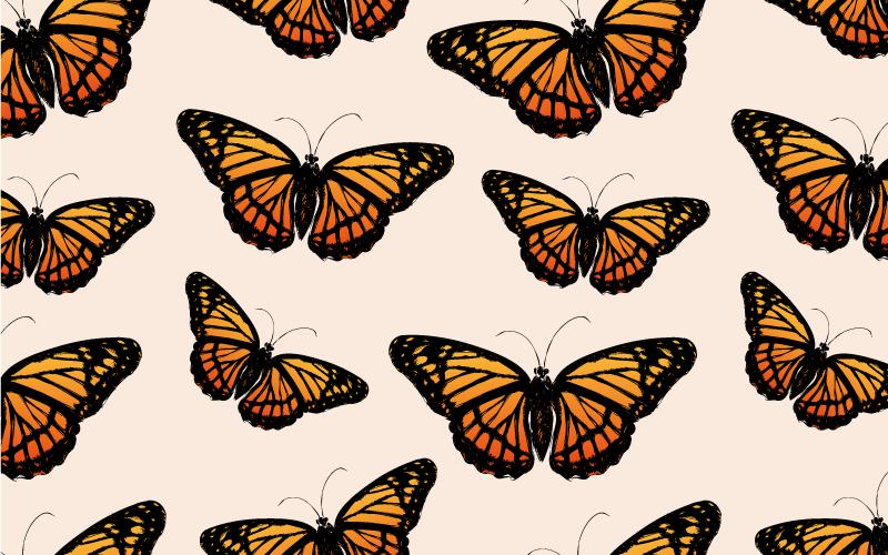 Vibrant butterfly motif animal vinyl carpet - TenStickers