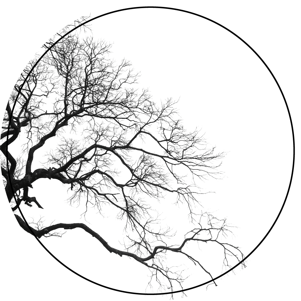 Branch Silhouette Art nature vinyl carpet - TenStickers