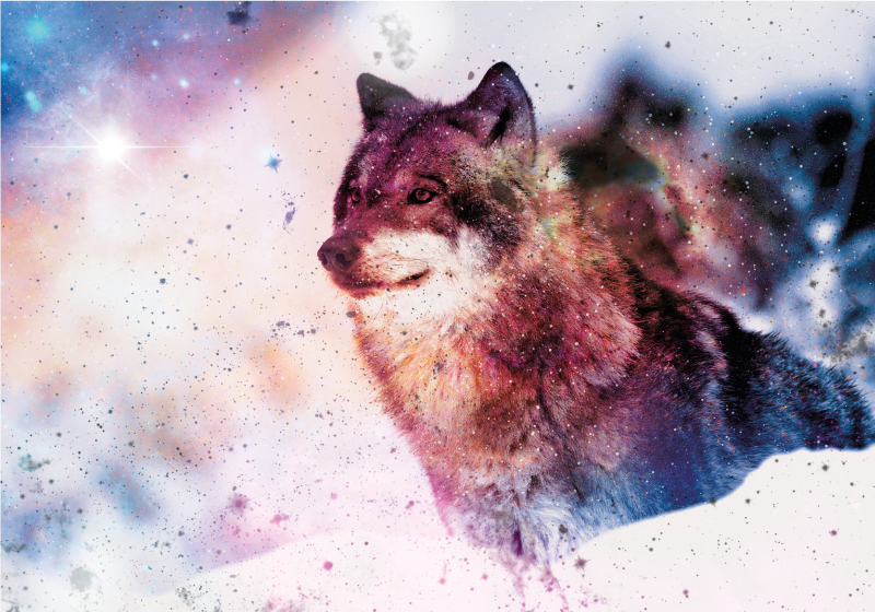 Cosmic wolf image animal vinyl carpet - TenStickers