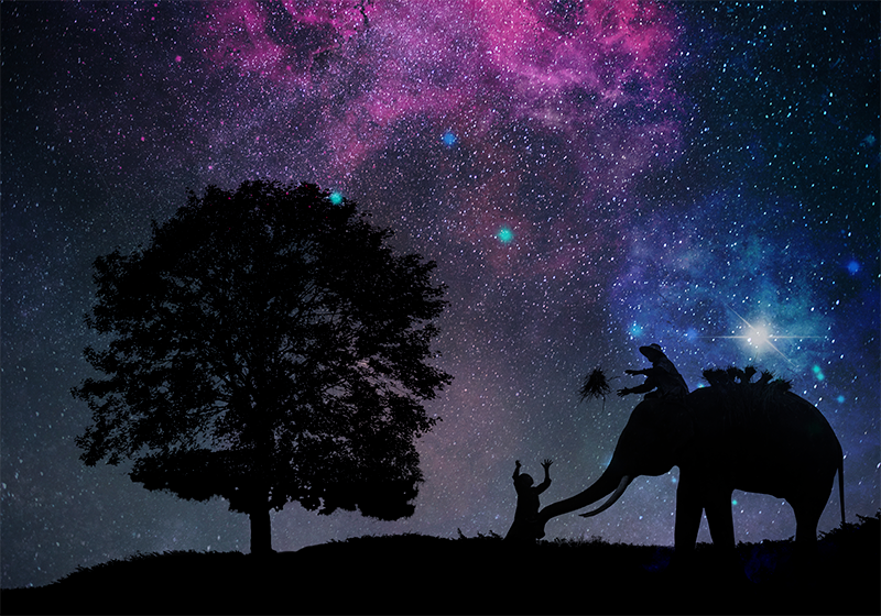 Cosmic elephant adventure animal vinyl carpet - TenStickers