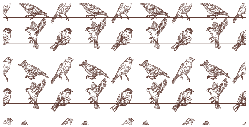 Birds on wires animal vinyl carpet - TenStickers
