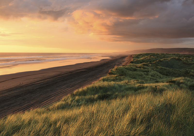 Sunset Beachscape nature vinyl carpet - TenStickers