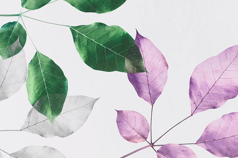 Leafy Botanical Prints floral vinyl carpet - TenStickers