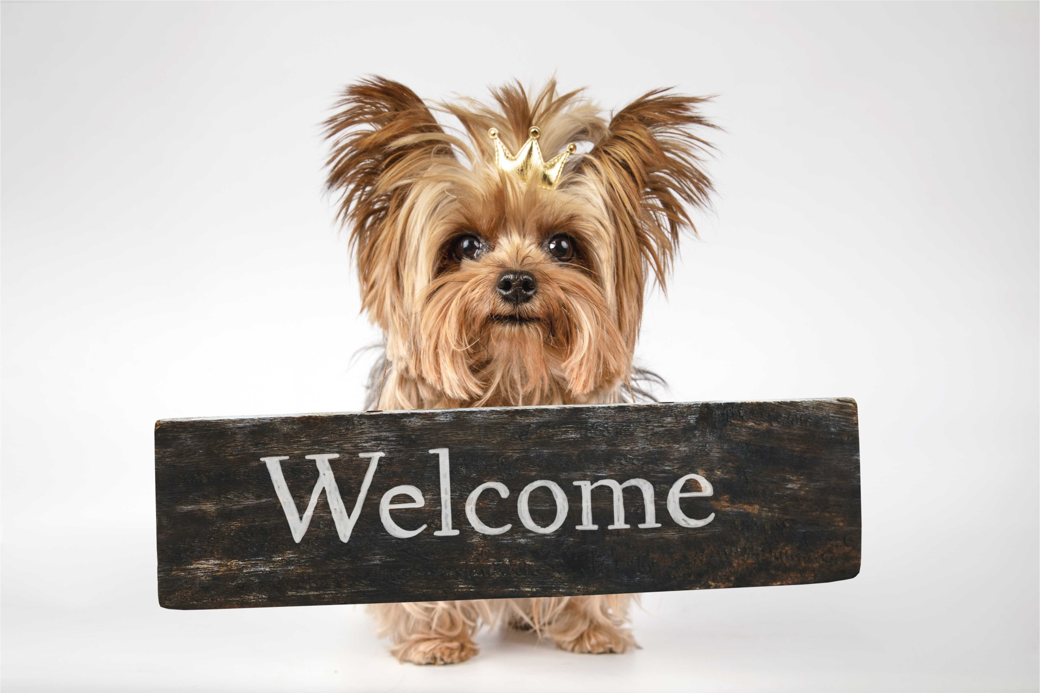 Furry Welcome Sign custom vinyl carpet - TenStickers
