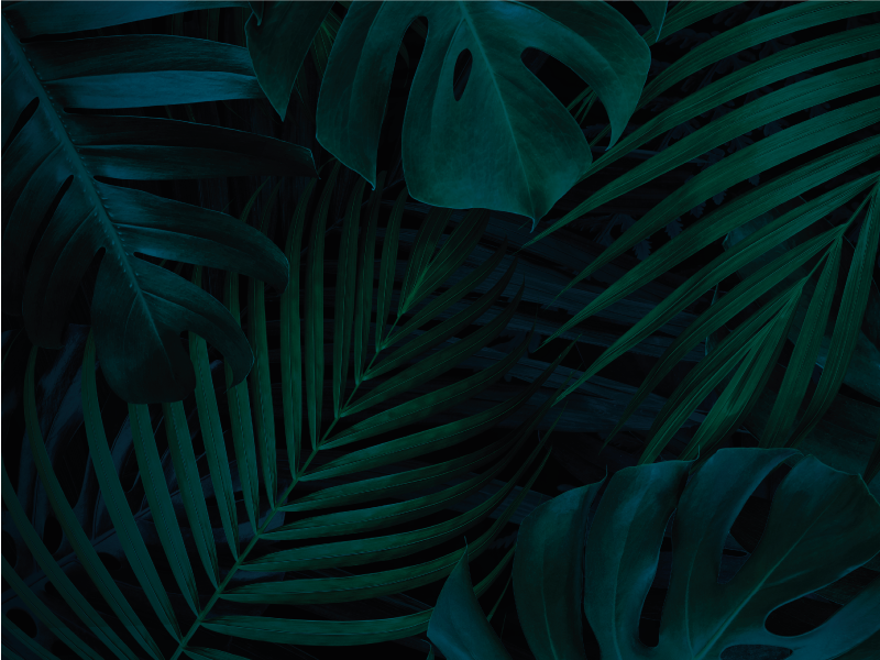 Tropical Foliage floral vinyl carpet - TenStickers