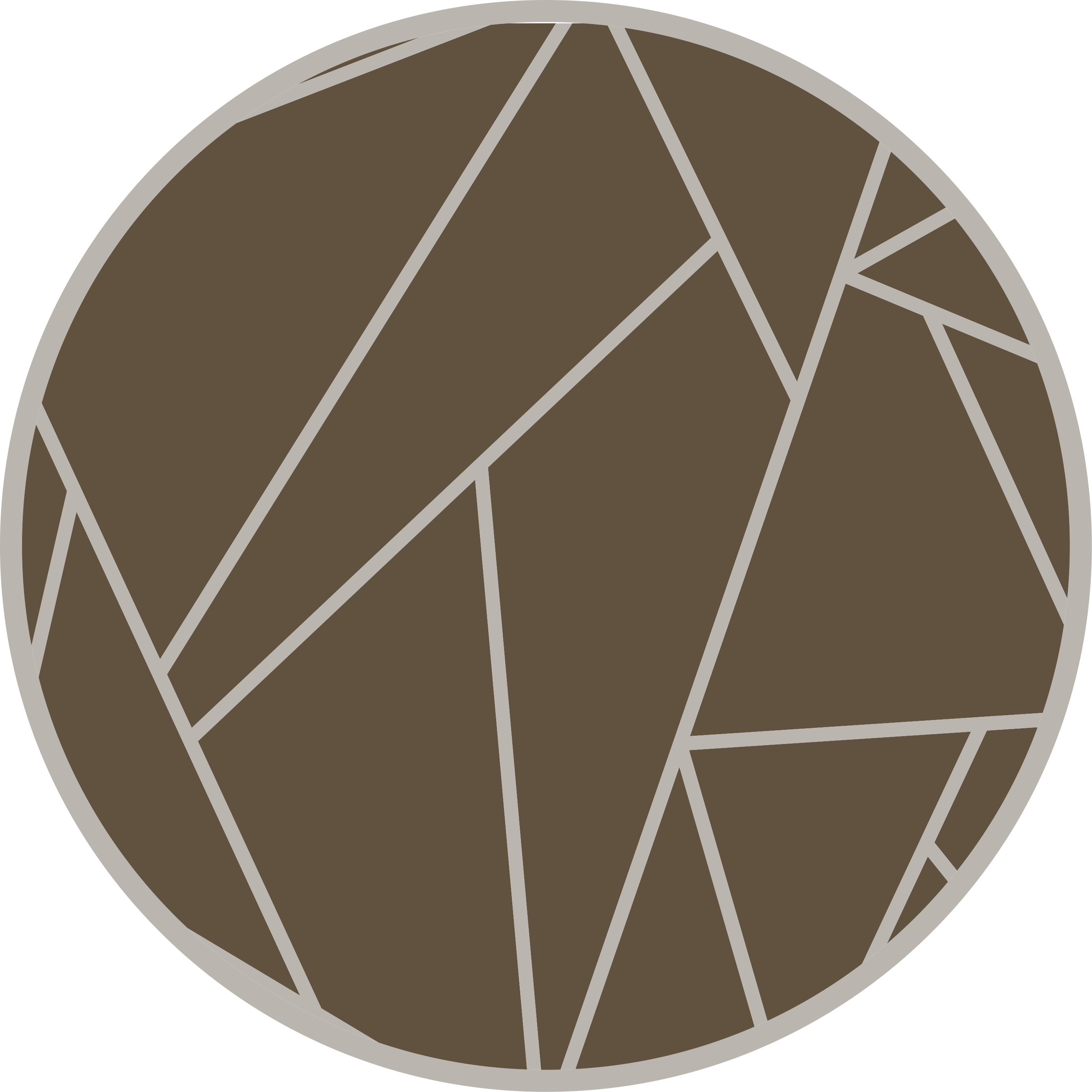 Geometric Pattern Circle brown vinyl carpet - TenStickers