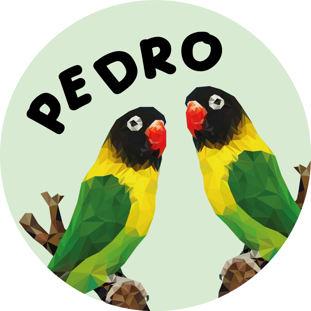 Customizable Lovebirds custom vinyl carpet - TenStickers