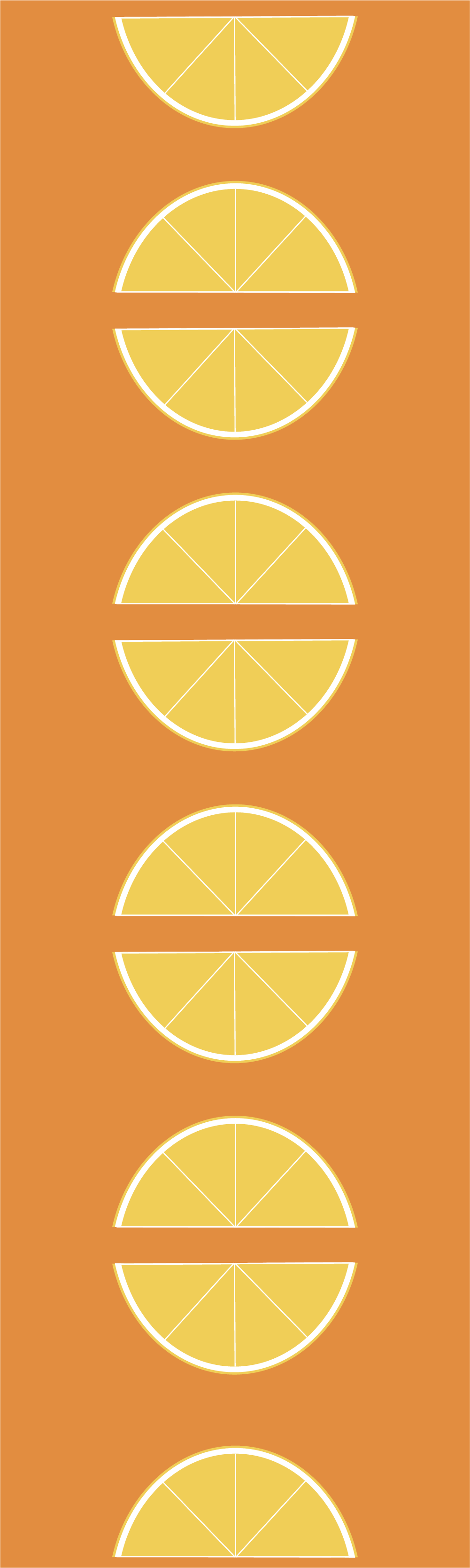 citrus slices kitchen vinyl carpet - TenStickers