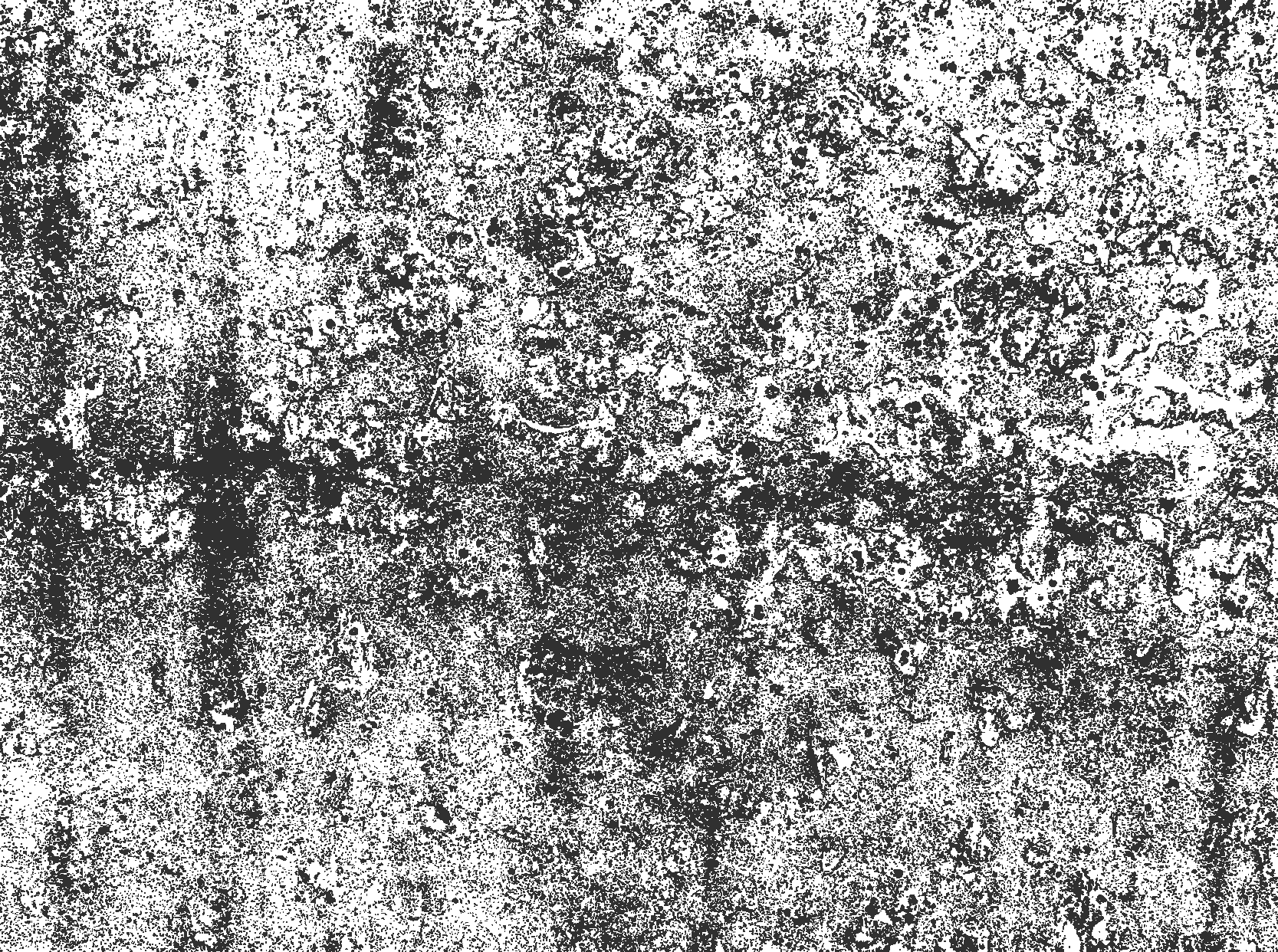 Faded grey dining room vinyl carpet - TenStickers