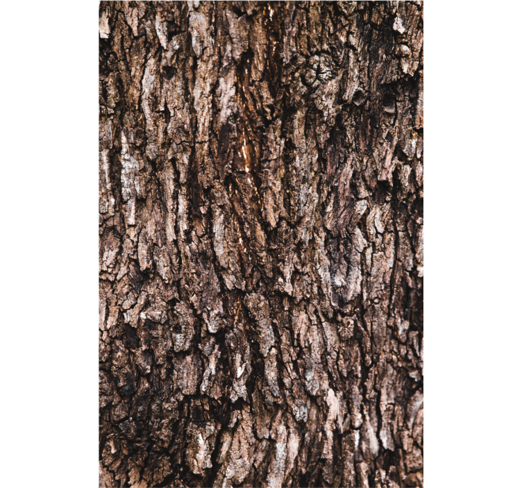 Bark surface wallpaper patterns - TenStickers
