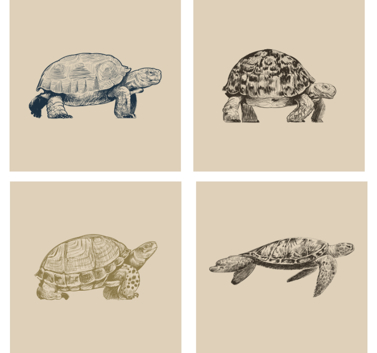 Vintage wallpaper turtles on beige background - TenStickers