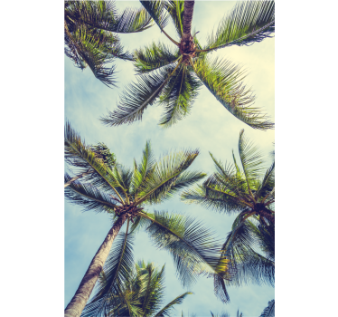 Tree wallpaper featuring palm trees from the bottom - TenStickers