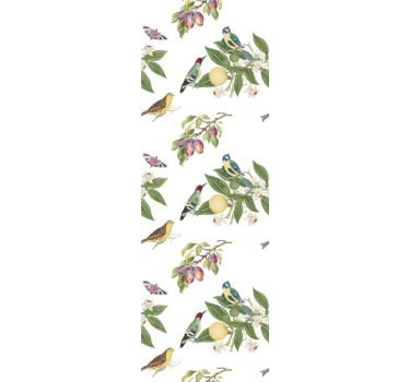 Colorful paradise birds wallpaper - TenStickers