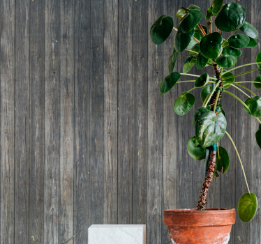 Gray broken rustic pattern wood wallpaper - TenStickers